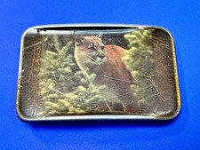 Cougar mountain lion for sale  Melbourne