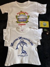 Antigo Niagara Falls Lembranças Turísticas Camisas Infantis Livro Colorido Pin Tartaruga, usado comprar usado  Enviando para Brazil