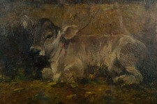 giulio vicchio usato giulio vicchio usato  Italia