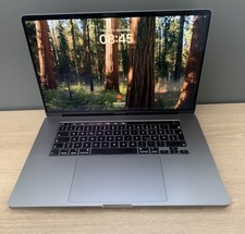Macbook pro a2141 gebraucht kaufen  Bad Salzuflen