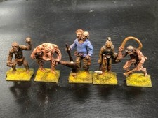 25mm painted fantasy for sale  Piney Creek