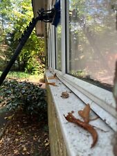 Pole fed window for sale  DARTFORD
