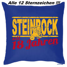 Cooles sofakissen geschenk gebraucht kaufen  Fürstenstein