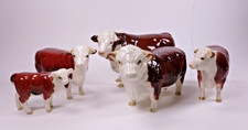 hereford cow for sale  RIPLEY