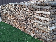 Brennholz meterware gebraucht kaufen  Geisenfeld