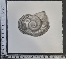 Wunderkammer exlibris 651 usato  Pescara