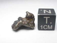 Golden pallasite meteorite d'occasion  Antibes