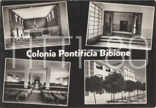 Colonia pontificia bibione usato  Polcenigo