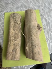 Bois buis boxwood d'occasion  Guilers
