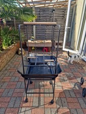 Parrot small bird for sale  LEIGH-ON-SEA
