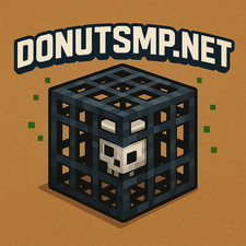 Donutsmp skeleton spawner gebraucht kaufen  Bad Pyrmont