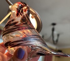 Beautiful iridescent browns for sale  HOOK