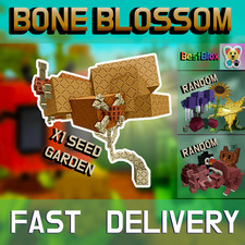 💀💰SEMENTE DE FLOR ÓSSEA +BÔNUS💰💀 | Cultive uma semente de jardim | barato | rápido | confiável✅ comprar usado  Enviando para Brazil