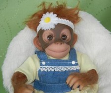 Darling daisy ashton for sale  Topeka