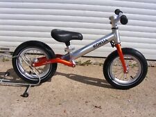 Fantastic boy girl for sale  BROUGH