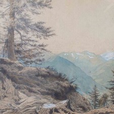 Waldlandschaft zeichnung roman gebraucht kaufen  Berlin