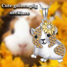 Cute guinea pig for sale  Bessemer City