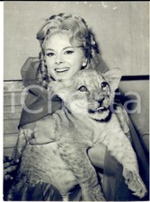 1960 zoo roma usato  Milano