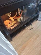 Four foot vivarium for sale  BIRMINGHAM