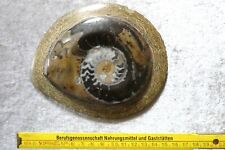 Wunderschöner geschliffener p gebraucht kaufen  Waidhofen