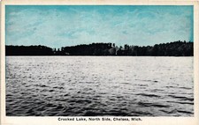 Cartão postal Dr Jim selos lago torto lado norte Chelsea Michigan não publicado comprar usado  Enviando para Brazil