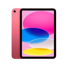 Apple ipad 2025 usato  Parma