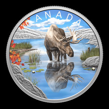 2024 canada wildlife for sale  Attleboro