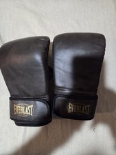 Everlast punching gloves. for sale  Pittsburg