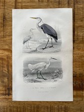 Antique grey heron d'occasion  Expédié en Belgium
