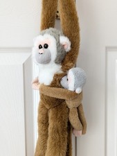 Squirrel monkey wild for sale  BEDFORD