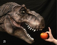 t rex dinosauro usato t rex dinosauro usato Zoagli