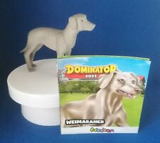 Dominator dogs weimaraner usato  Cirie