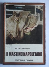 Mastino napoletano nicola usato  Senna Lodigiana