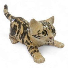 Winstanley playful kitten for sale  PEACEHAVEN