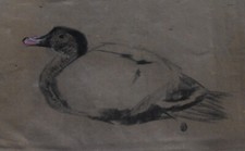 Hélène rivière fusain d'occasion  Paris XVIII