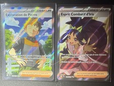 Lot cartes pokémon d'occasion  Lognes