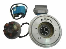 Vespa elecstart stator d'occasion  Expédié en Belgium