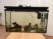 Aquarium gebraucht kaufen  Nürnberg