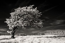 ir converted camera for sale ir converted camera for sale ALFRETON