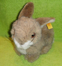 Steiff hase poppel gebraucht kaufen  Stuttgart