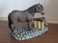 Leonardo collection shetland for sale  NORWICH