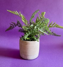 Artificial fern plant for sale  ROYSTON