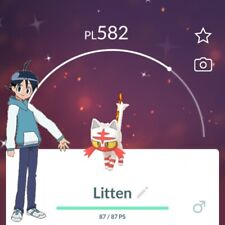 Pokémon shiny litten usato  Ferrara