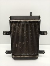 Radiatore sym citycom usato  Chignolo Po
