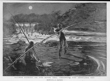 1896 scotland salmon for sale  ASHFORD