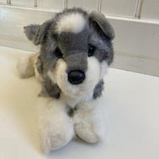 Joli siberian husky for sale  Denver