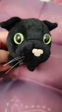 Original cat accept for sale  NOTTINGHAM