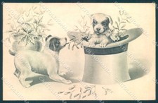 Animali cane cuccioli usato  Gambolo