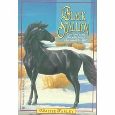 Black stallion walter for sale Black stallion walter for sale  UK