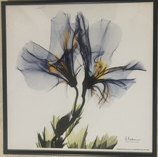 Blue geranium framed for sale  Orangeburg